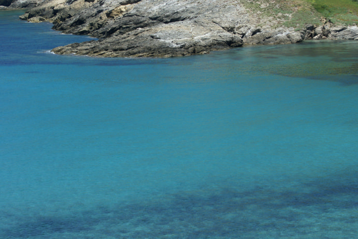 DSC07093_golfe d_Aliso.jpg