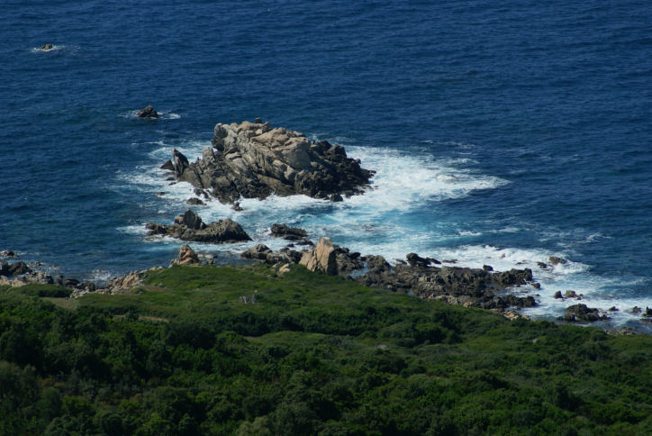 DSC07344.jpg
