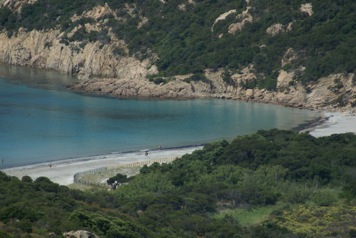 DSC07358_Figari_1.jpg
