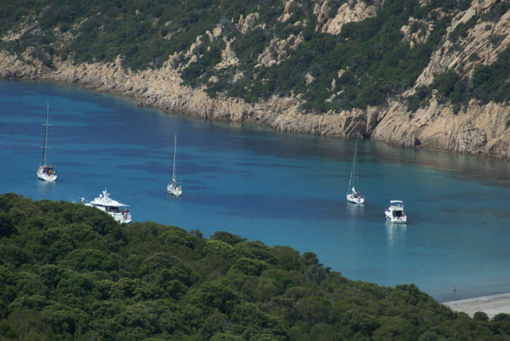 DSC07359_Figari_2.jpg