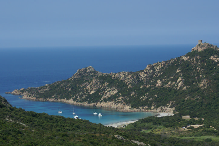 DSC07365_Figari_3.jpg