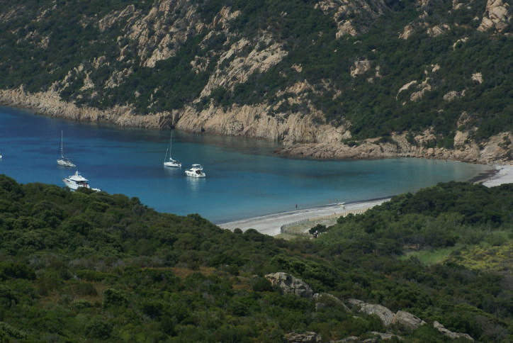 DSC07366_Figari_4.jpg