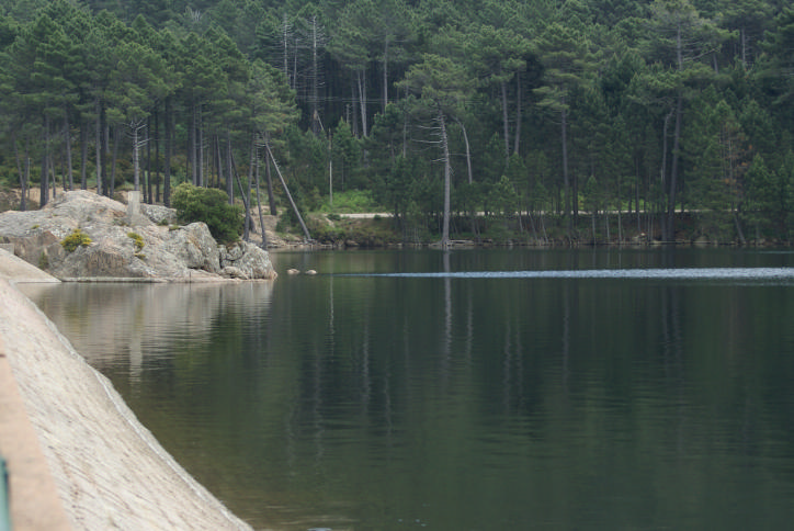 DSC07440_Agnarone2.jpg