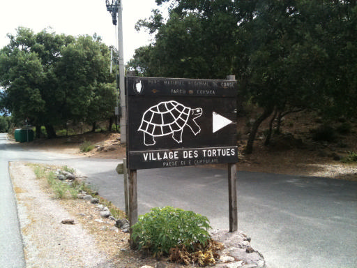 juin2011 061.jpg