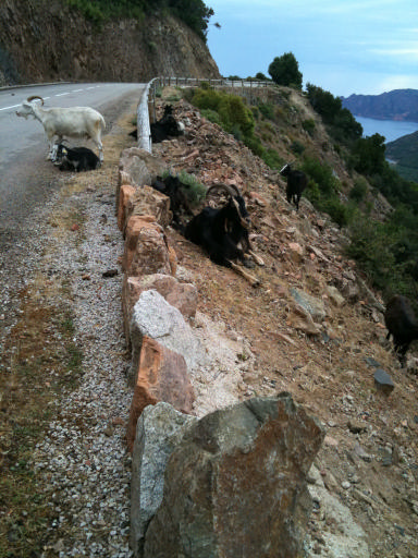 juin2011 064_Calanches.jpg