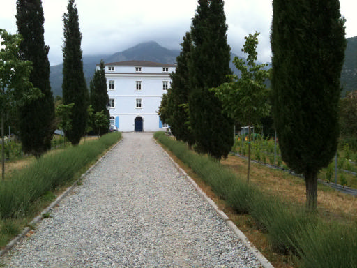 juin2011 084_Corte.jpg