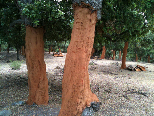 juin2011 130_La Porta.jpg