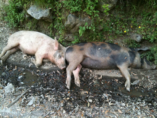 juin2011 135_La Porta2.jpg