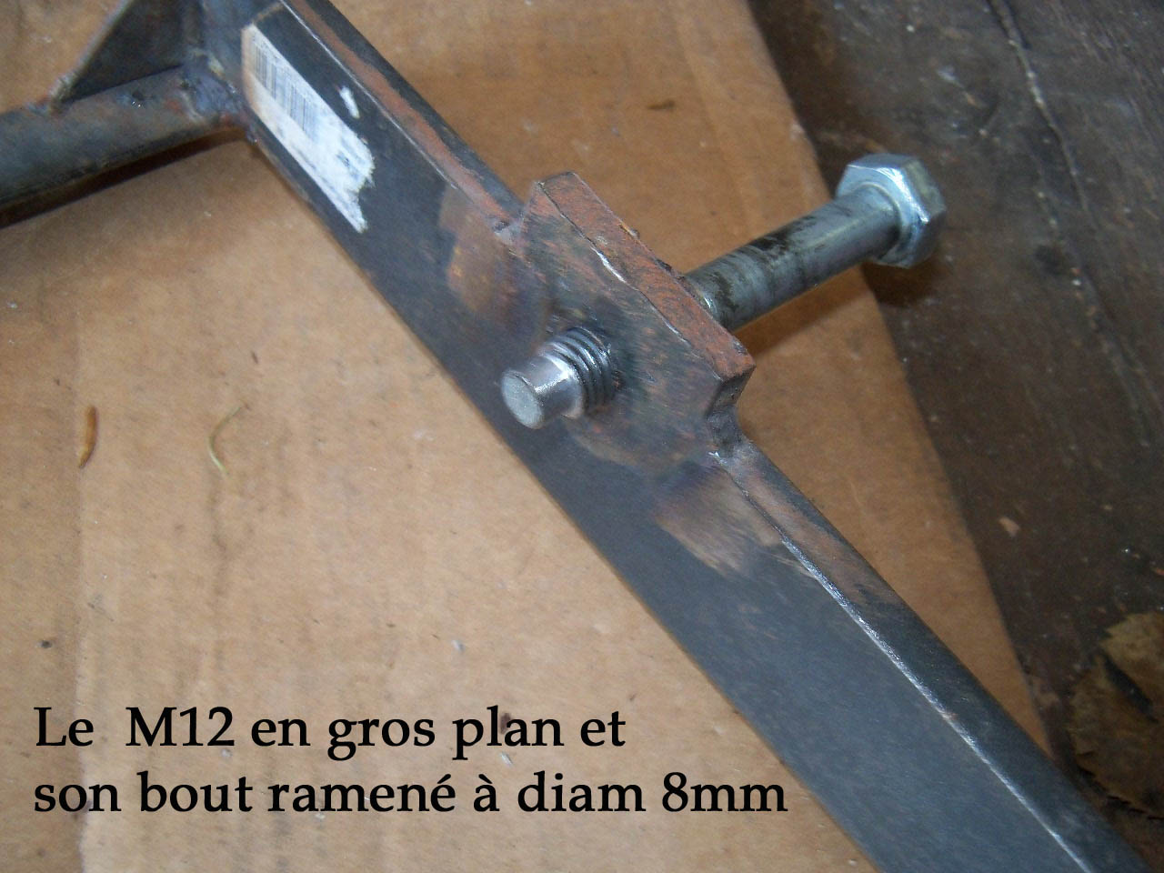 65.jpg