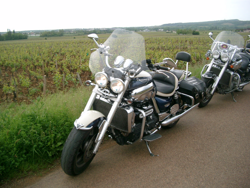 IMGP5562.JPG