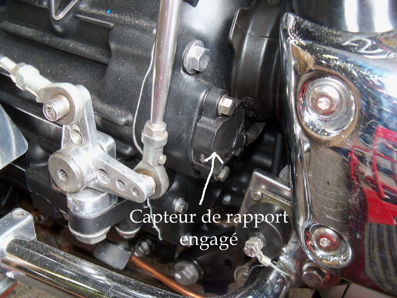 Capteur_Rapport.jpg