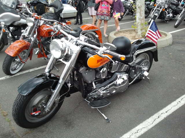 harley 1.jpg