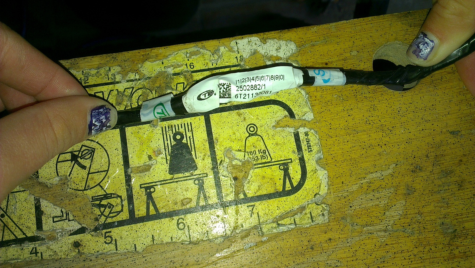 IMAG0255.jpg