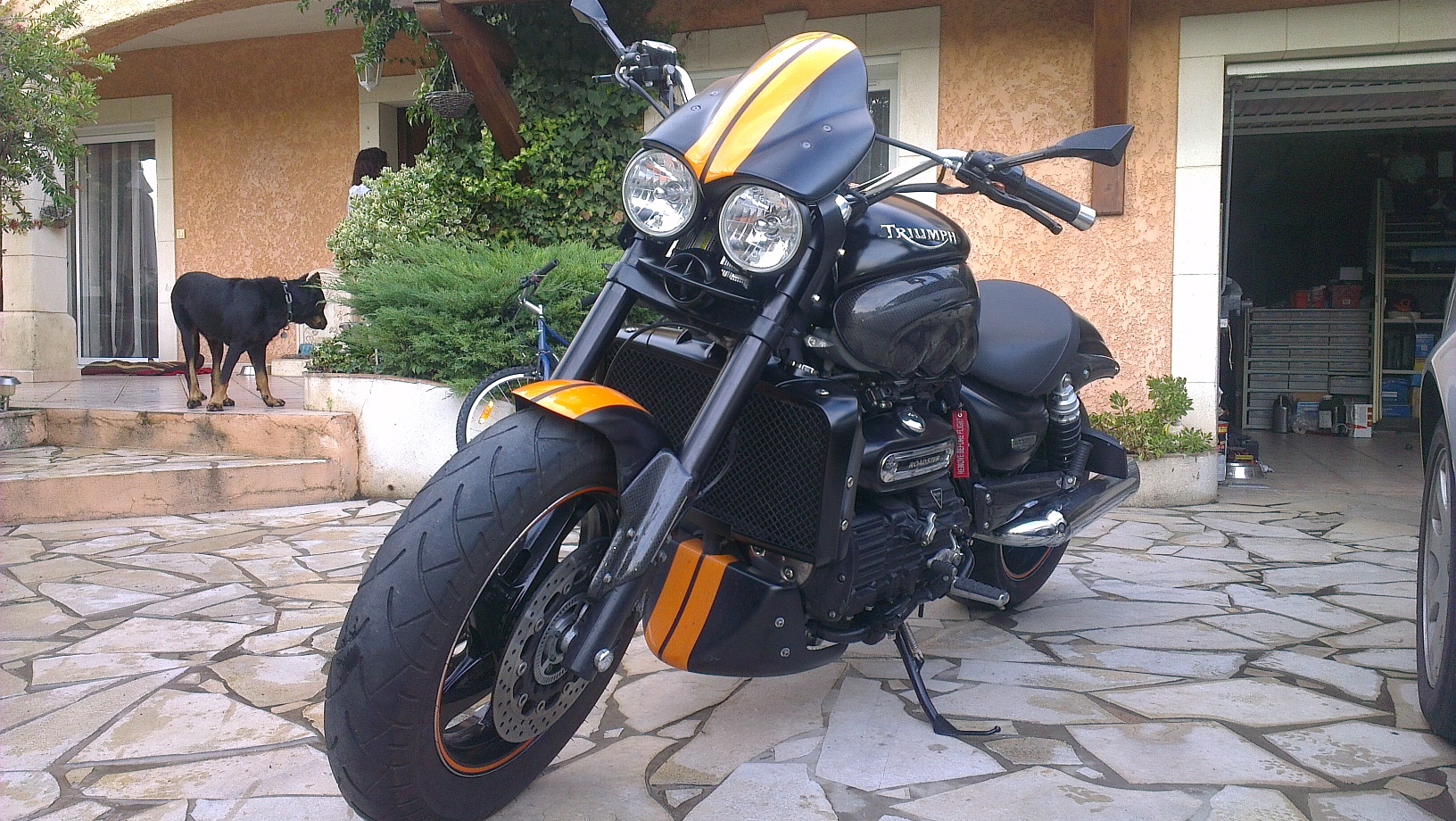 IMAG0395.jpg