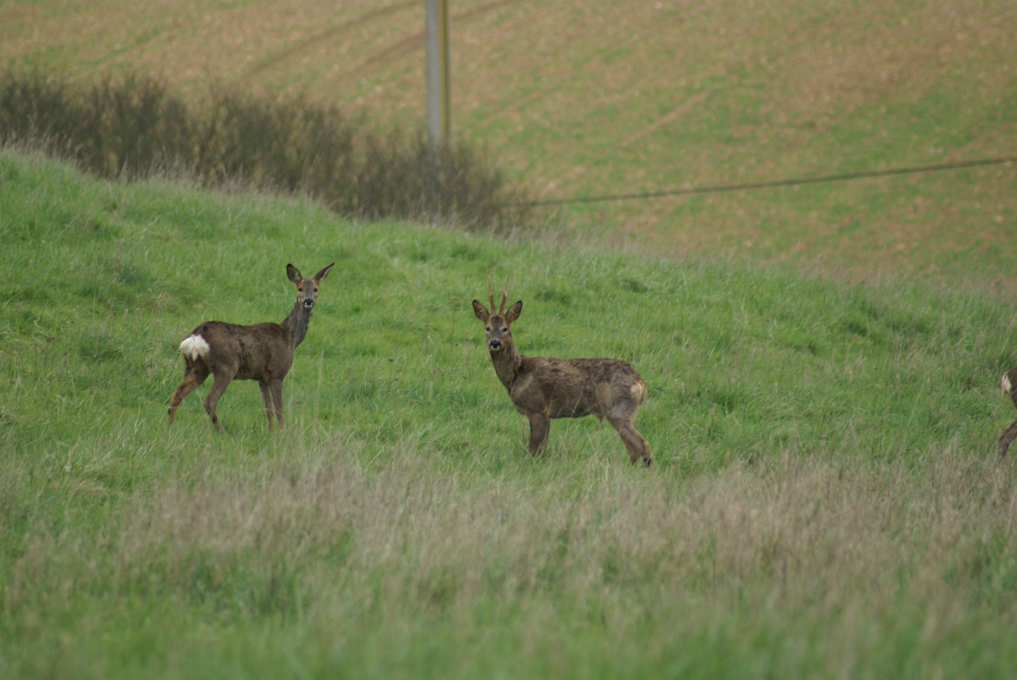DSC08837.JPG