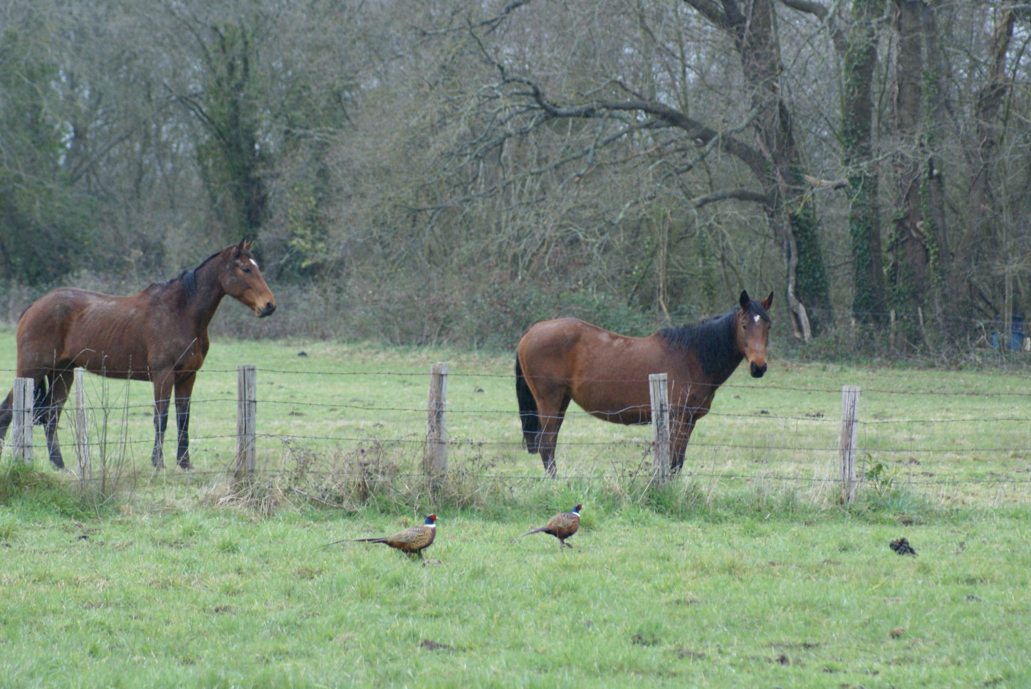 DSC08853.JPG