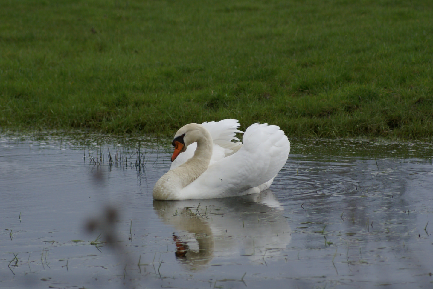 DSC08844.JPG