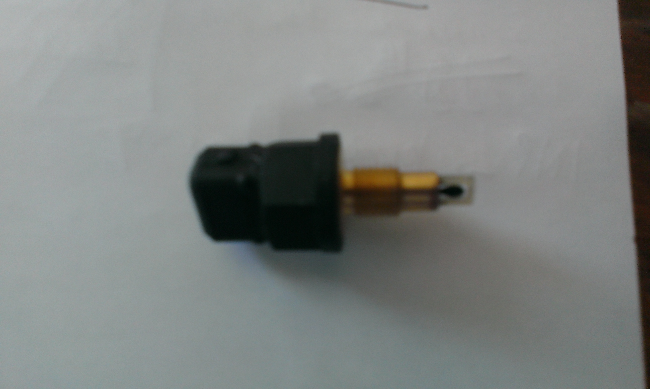 IMAG0579.jpg