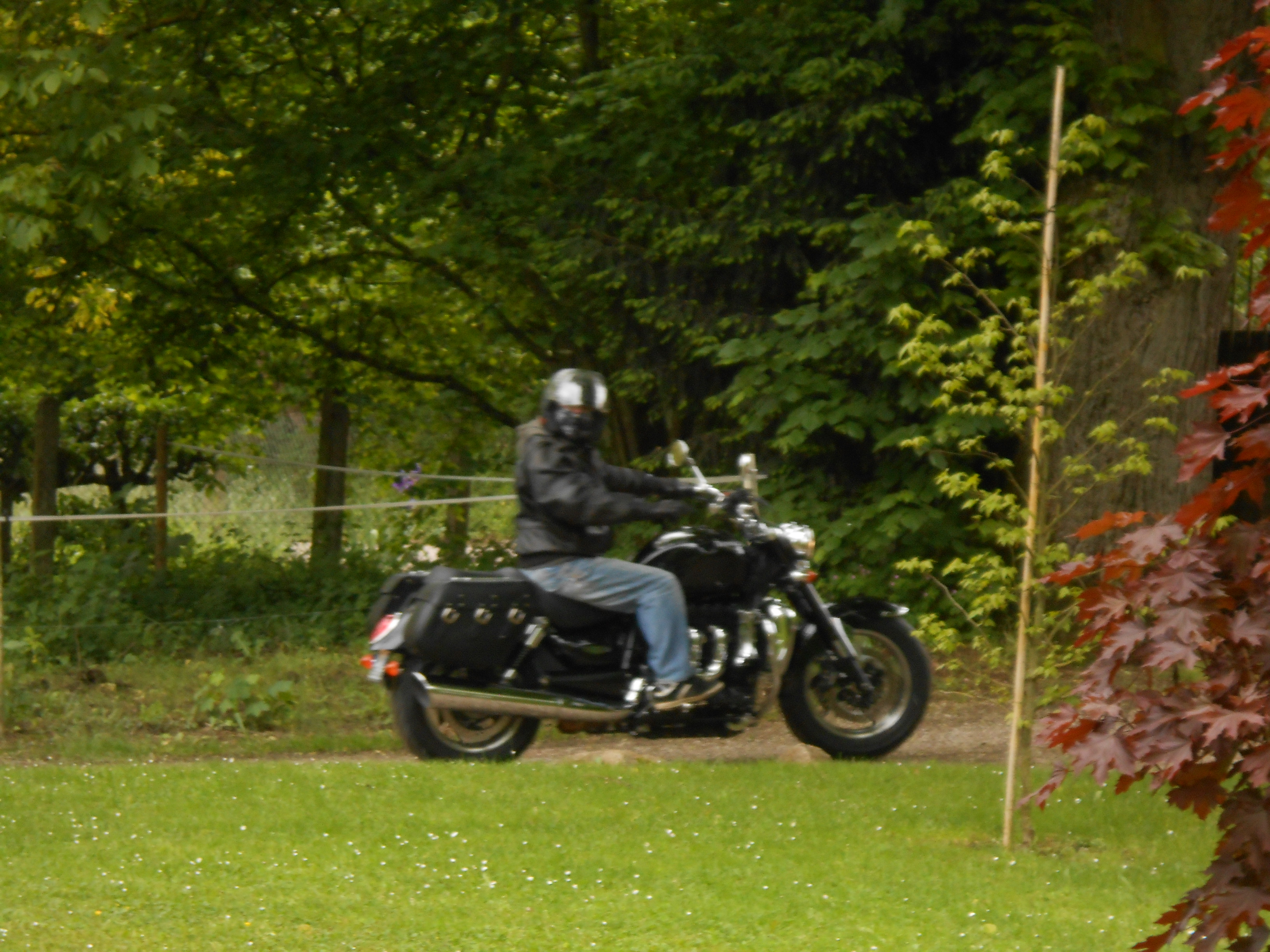 triumph 001.JPG