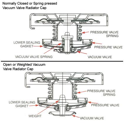 radcapir3.jpg