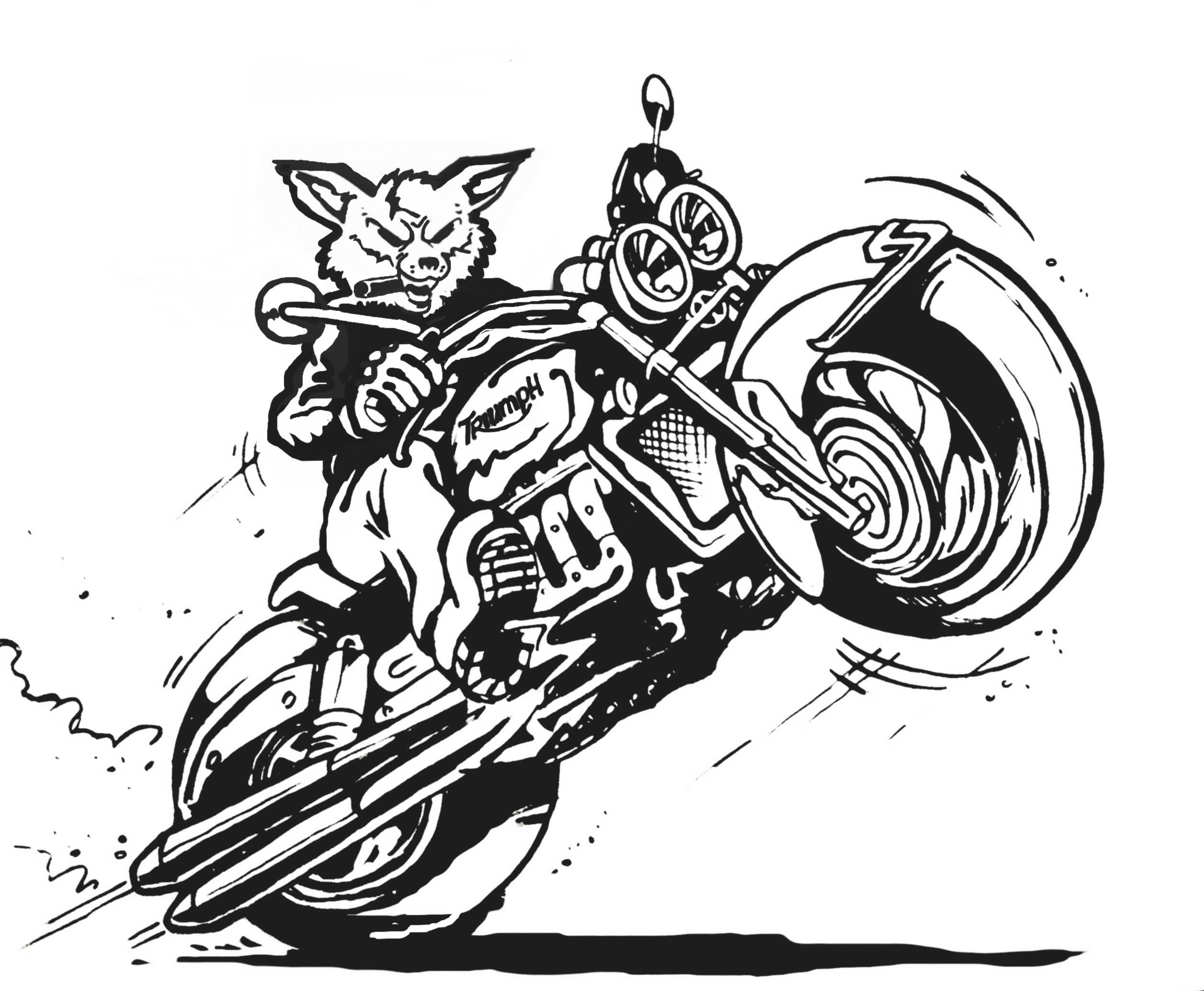 fox sur rocket.jpg