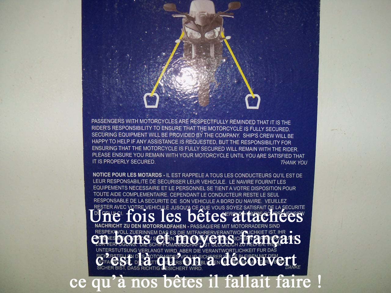 08_8096.jpg