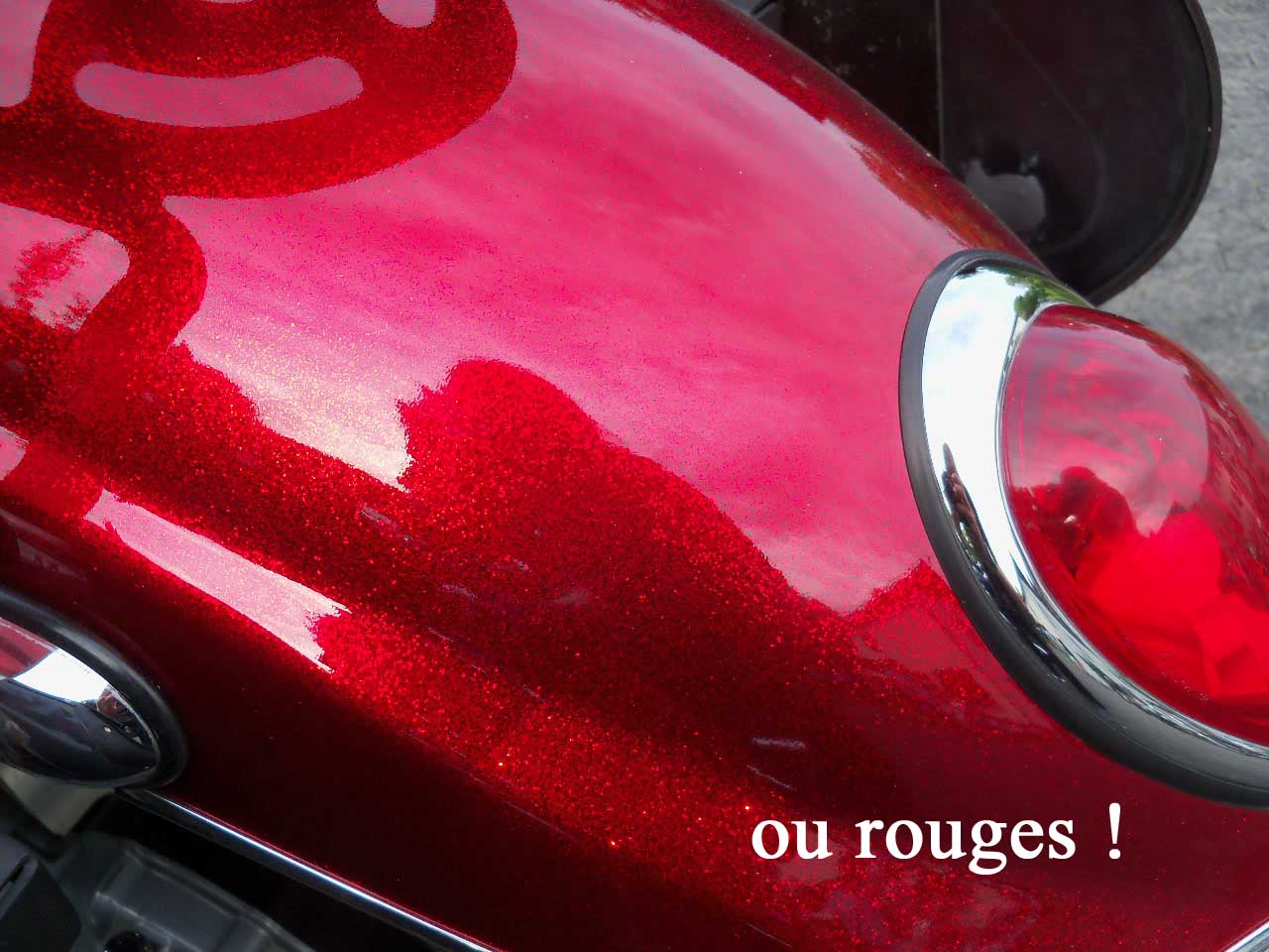 10_paillette_0286 copie.jpg