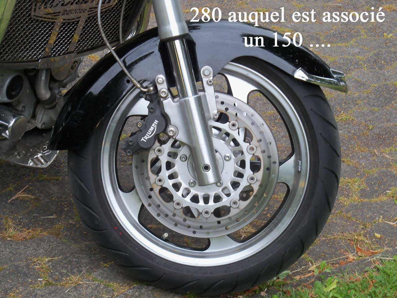 21_TailleBassAv.jpg