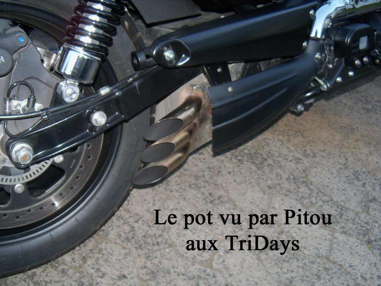 33_pot_0199.jpg