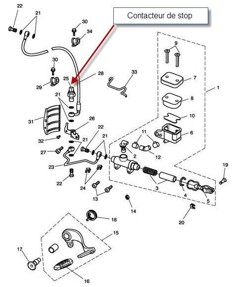 FreinAR-R3.jpg
