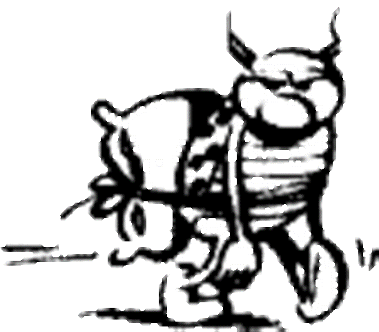 coc26.gif
