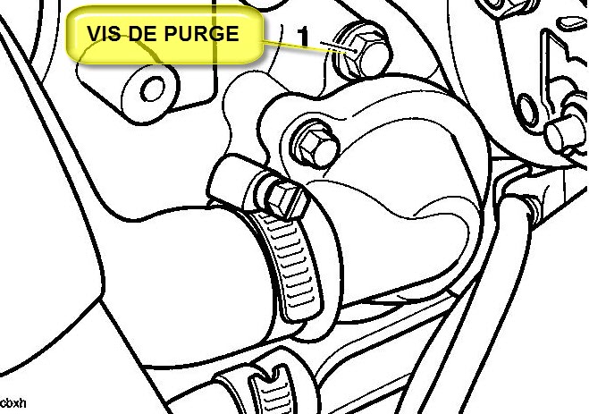Purge.JPG