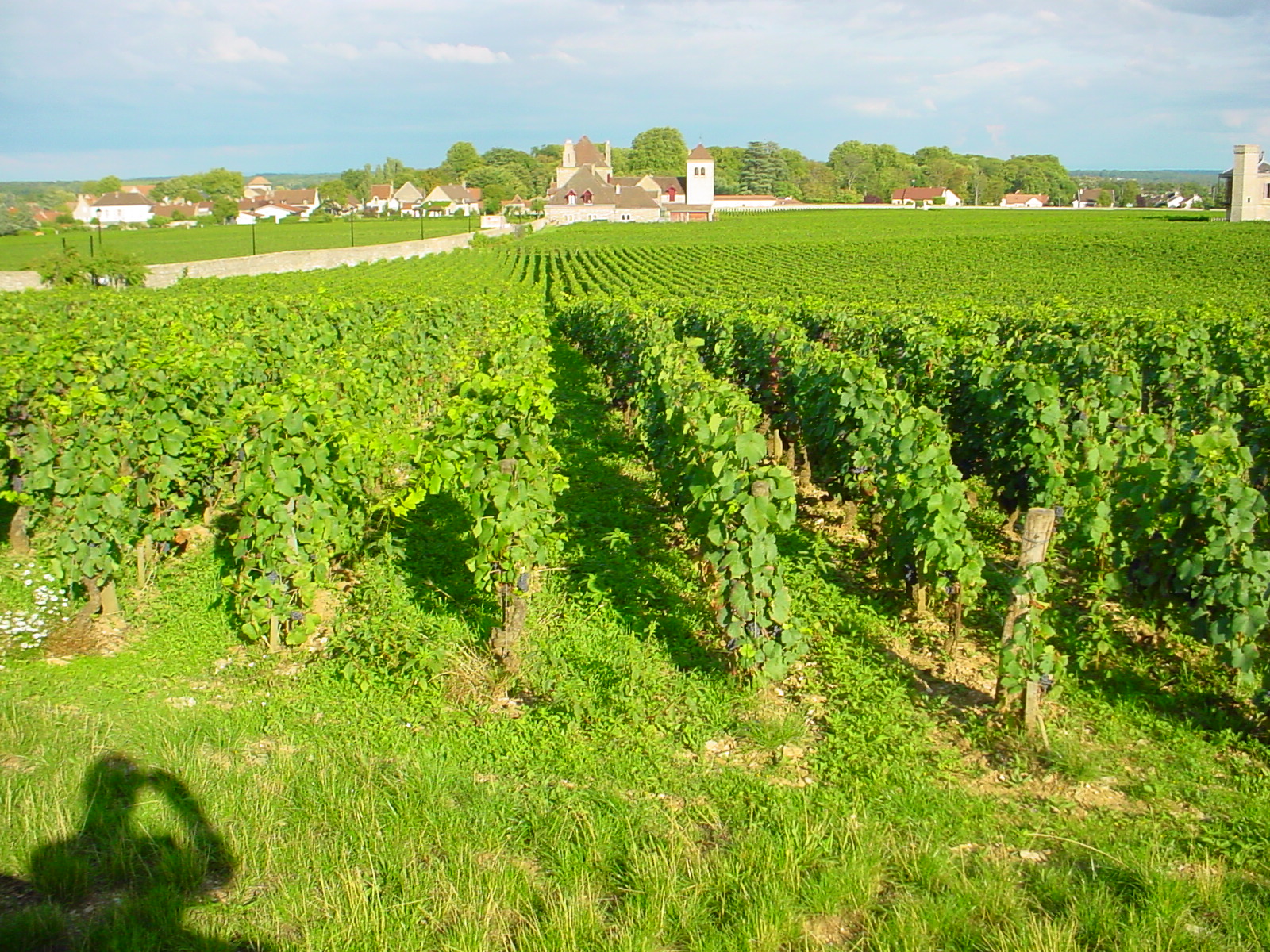 Bourgogne 003.jpg
