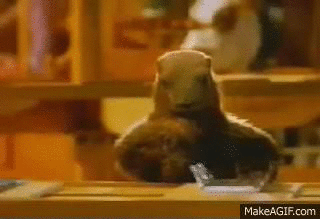 Marmote.gif