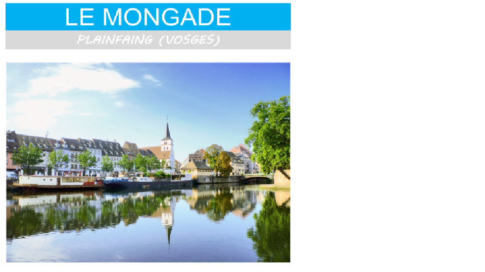 la mongade.png