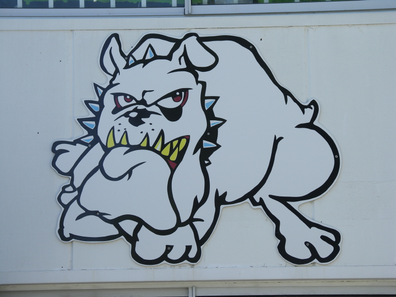 Logo Dog.JPG