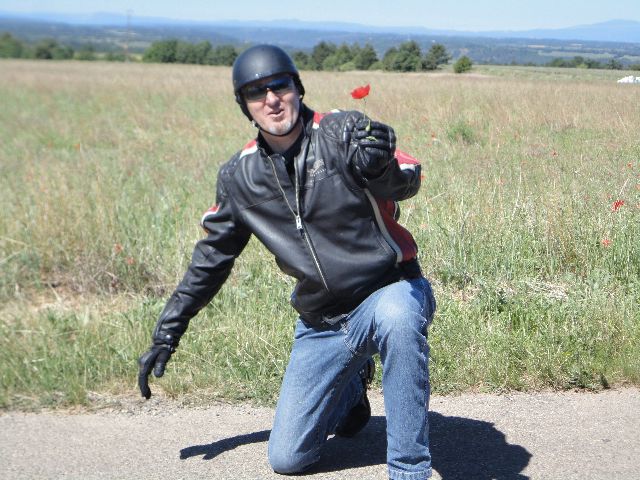 fox offre coquelicot pause moustiers.JPG