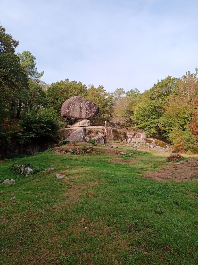 IMG_20221001_105855 (Medium).jpg