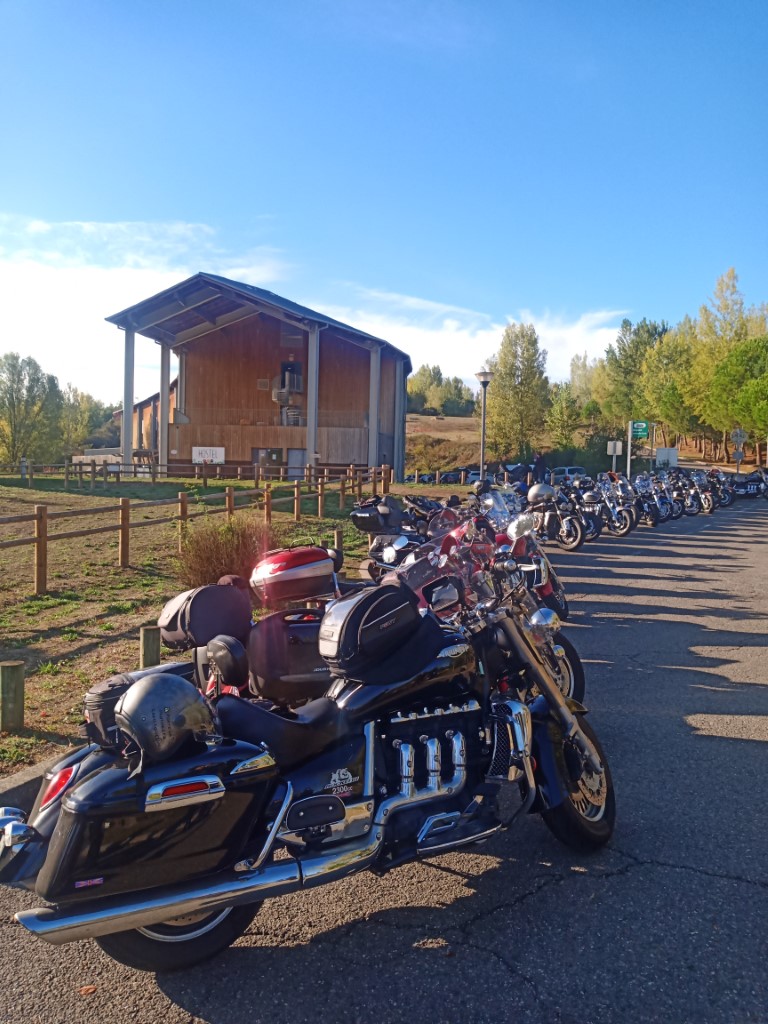 IMG_20221002_094245 (Medium).jpg