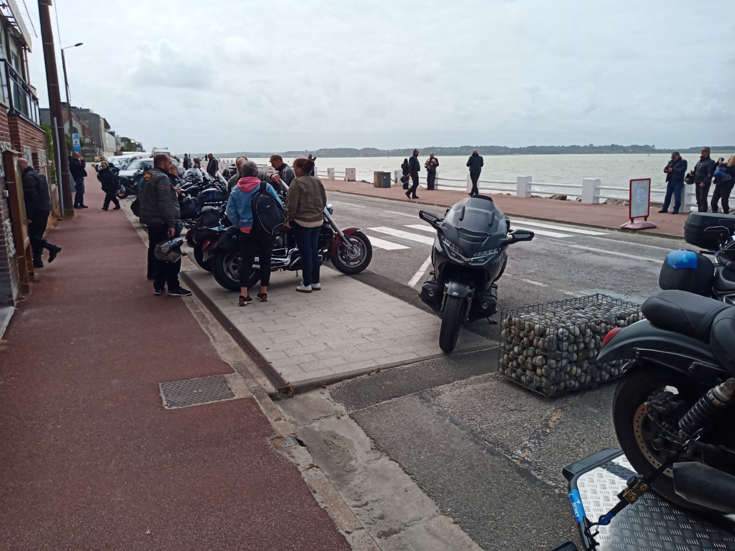 IMG_20250526_122249 (Large).jpg
