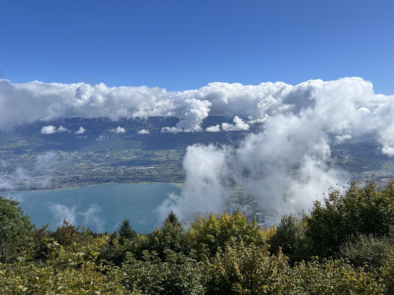 IMG_6110 Grande.jpeg