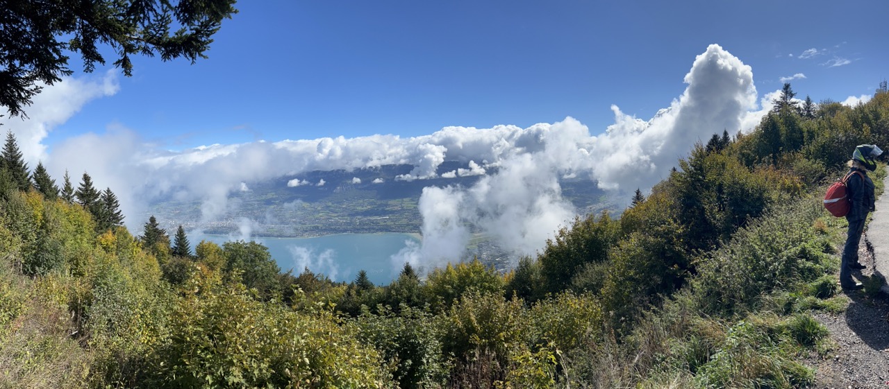 IMG_6111 Grande.jpeg