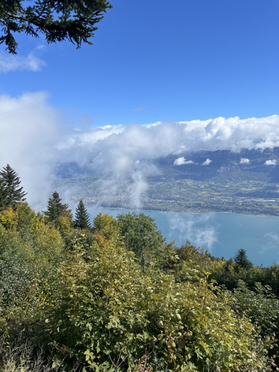 IMG_6112 Grande.jpeg