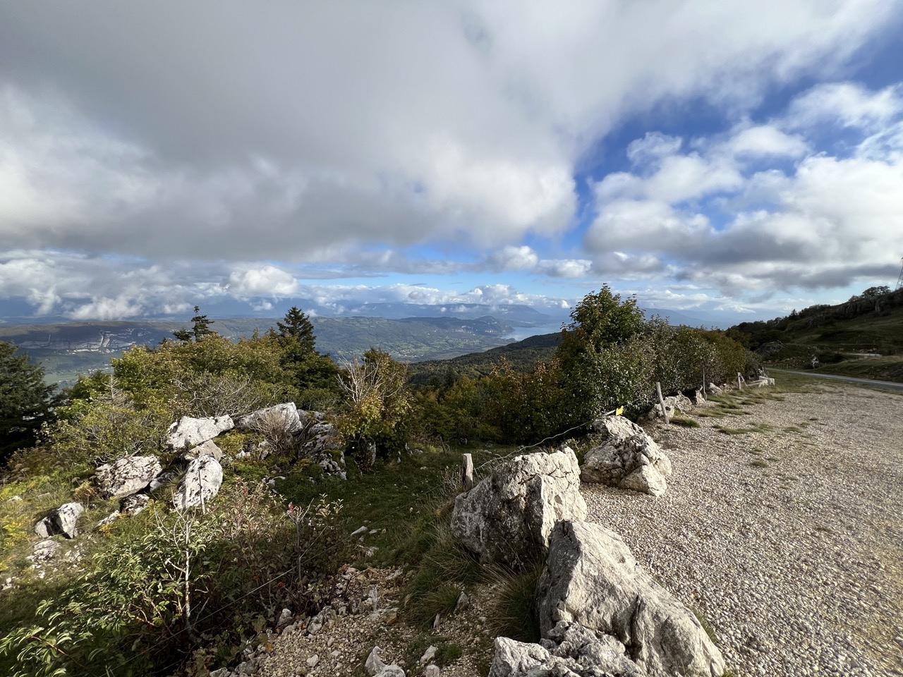 IMG_6120 Grande.jpeg