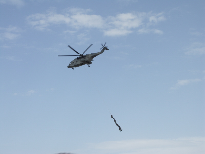 1helico10.JPG
