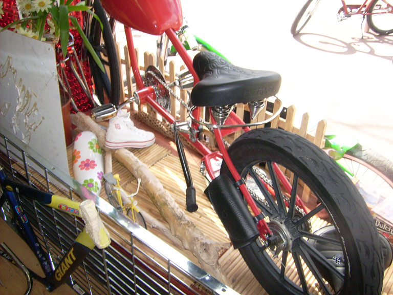 velo1.jpg