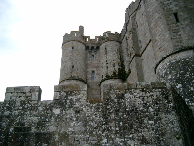 IMGP3371.JPG
