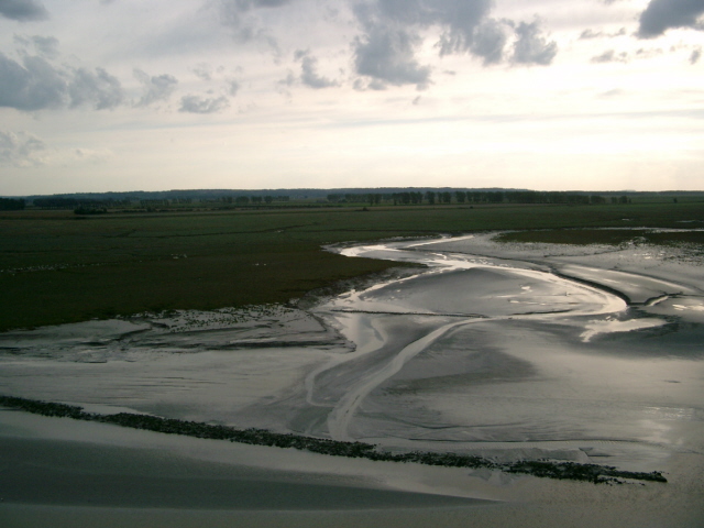 IMGP3374.JPG