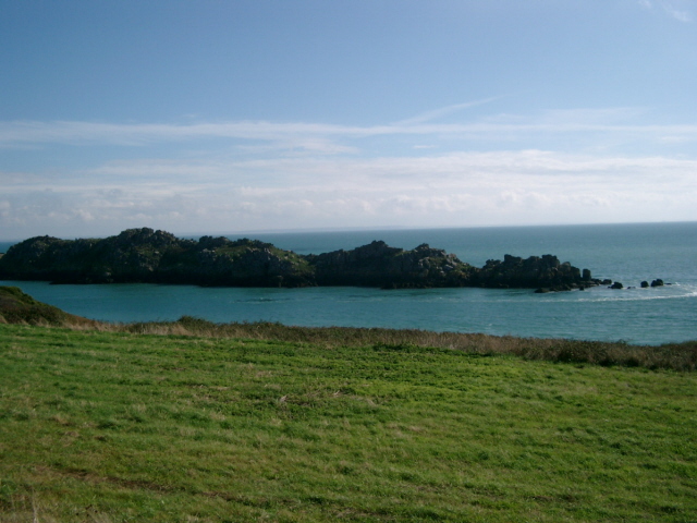 IMGP3386.JPG