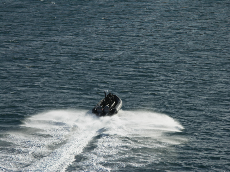 commando5.JPG